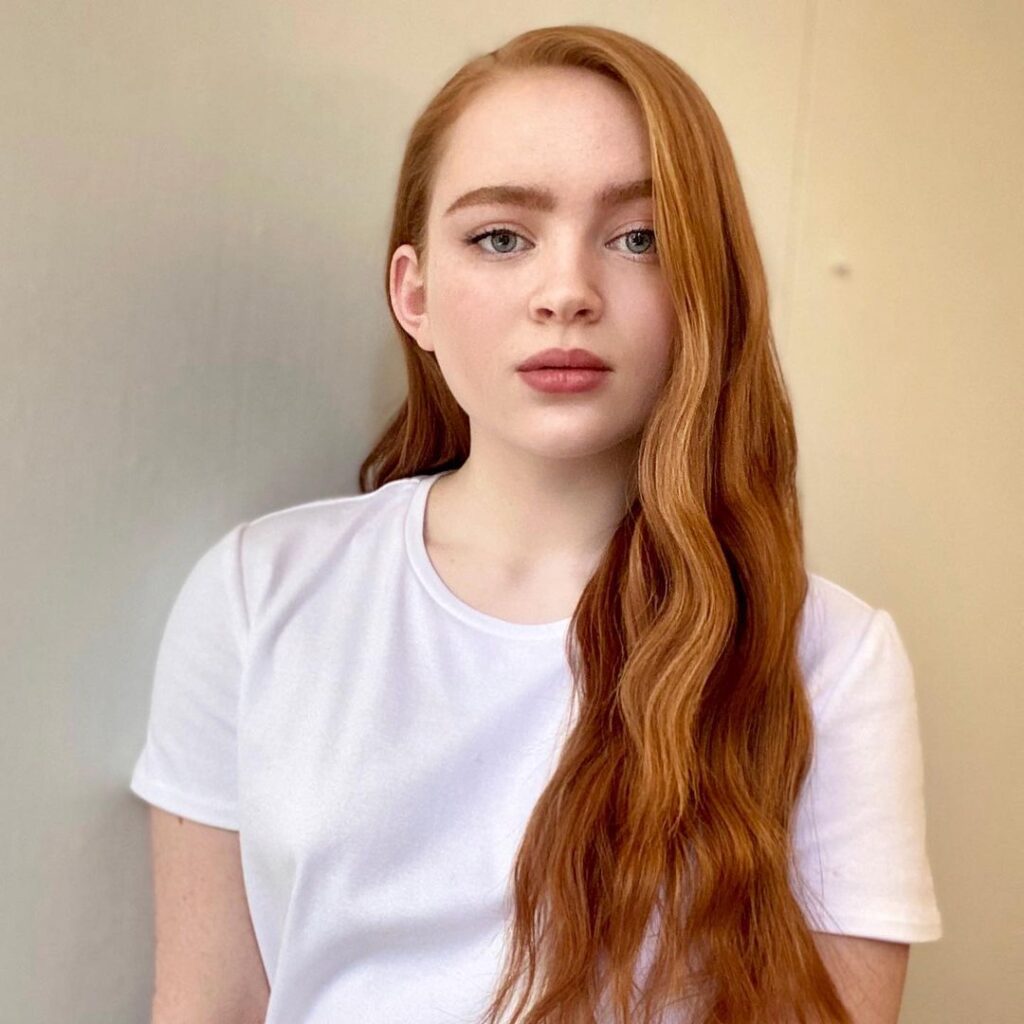 13 Ideias de Tendências de Cabelo Tingidos: Mude Seu Visual Hoje! 13 tendencia de cabelo tingido vermelho cobre